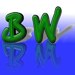 BIW_Icon